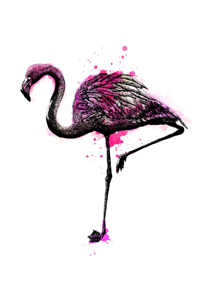 Flamingo Illustration