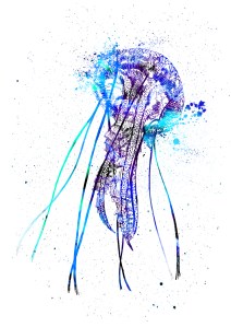 Jellyfish Illustration