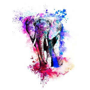 Colourful Elephant Illustration
