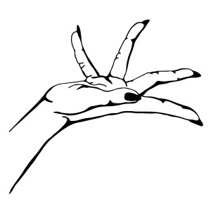 Mudra illustration for Jungli by Nature