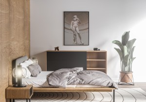 David, You're a Trooper Poster